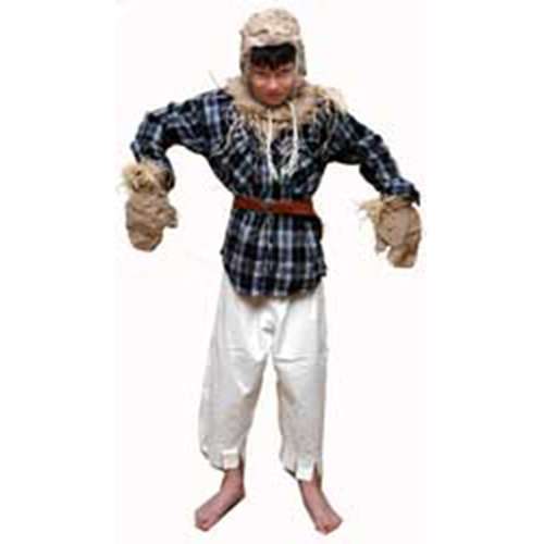 Scarecrow Childrens Costume for Hire
